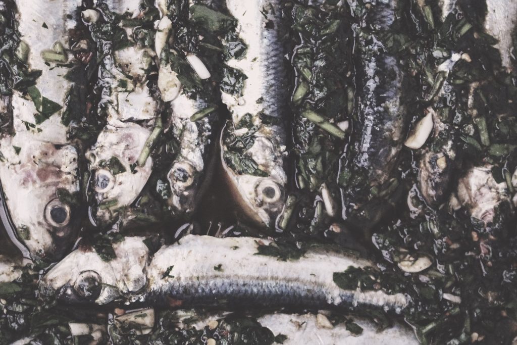Fishes